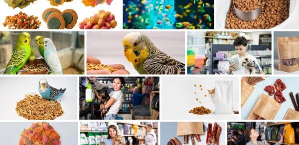 beiyinpack_collage.jpg